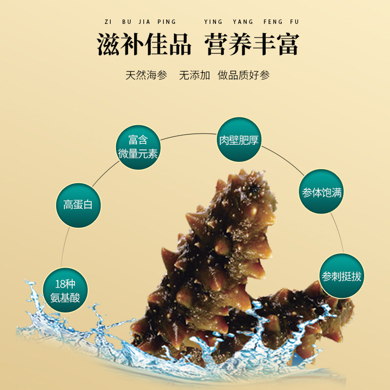 野生海参即食大连鲜活鲜食速食辽参海生刺参孕妇独立包装2斤1kg,淘宝优惠券,粉丝福利购,淘宝优惠卷