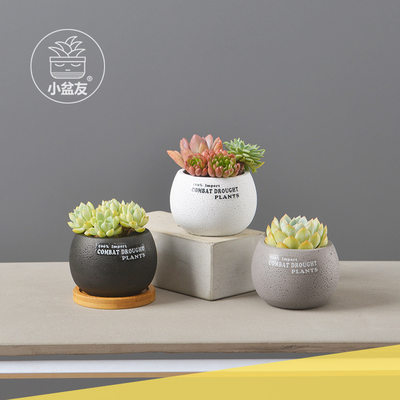 多肉花盆北欧风格小号可爱水泥透气黑色英文正方形小黑方多肉花盆 虎窝淘