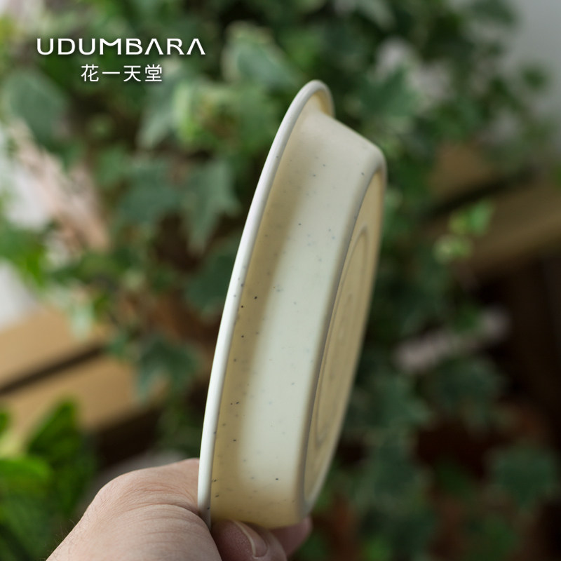 加厚塑料花盆托盘圆形多肉花卉绿植盆栽接水底托盘多规格耐用耐晒,淘宝优惠券,粉丝福利购,淘宝优惠卷