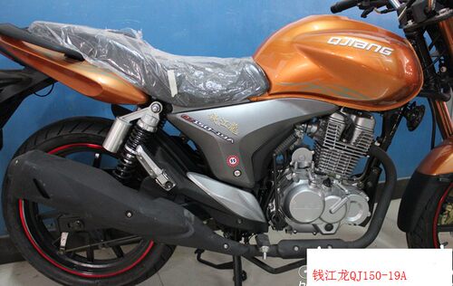 适用于钱江龙QJ150-19A/C油箱套御龙QJ125-26摩托车油箱包防水皮 - 图2