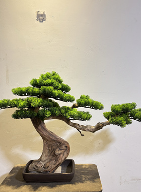 中式高档实木仿真迎客松盆景
