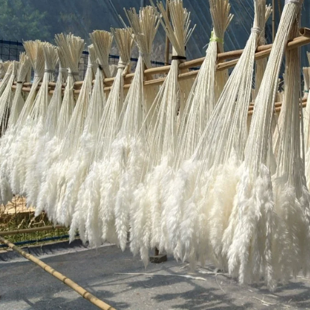 Everlasting flower dried bouquet, real flower, air-dried natural reed grass diy material package, handmade home furnishings decoration