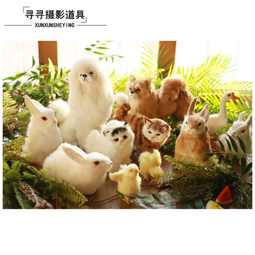 儿童拍照道具小兔子影楼婚纱摄影仿真毛绒动物猫咪小狗 真毛会叫 - 图1