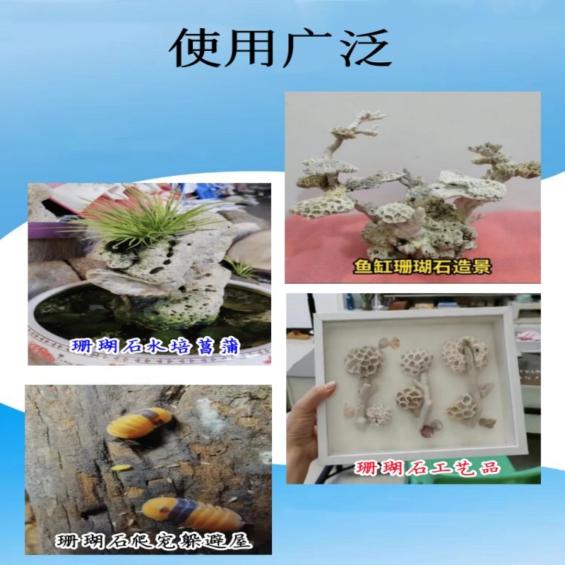天然珊瑚海缸造景石水族珊瑚骨滤材鱼缸假山死石活石萌爬宠躲避屋,淘宝优惠券,粉丝福利购,淘宝优惠卷