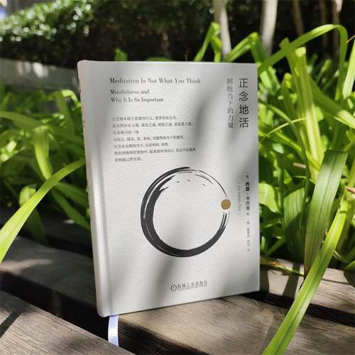 RT正版 正念地活:拥抱当下的力量:mindfulness and why it is so importa9787111751571 乔恩·卡巴金_机械工业出版社生活休闲书籍 - 图0