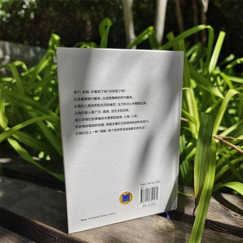 RT正版 正念地活:拥抱当下的力量:mindfulness and why it is so importa9787111751571 乔恩·卡巴金_机械工业出版社生活休闲书籍 - 图3