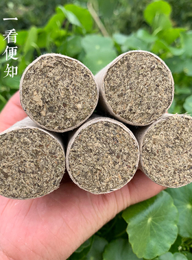艾灸野生加粗陈年蕲春雷火灸