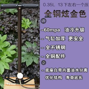 圣骑士超强高压打气筒30mpa40mp不锈钢40mpa高压打气筒4500psi