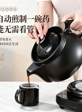 煎药壶全自动中药电煎壶家用煲药煎药锅中医传统熬药罐砂锅炖药煲