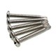 Stainless steel cross half-round head self-tapping drill tail screw