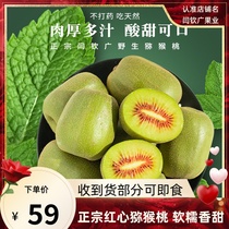 Yan Qinguang Fruit industry Fresh should season red Heart goosebumps Jiangxi Pregnant Women Fruits Straight Sweet