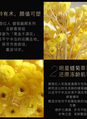 摩登红人蜡菊面霜眼霜套装正品