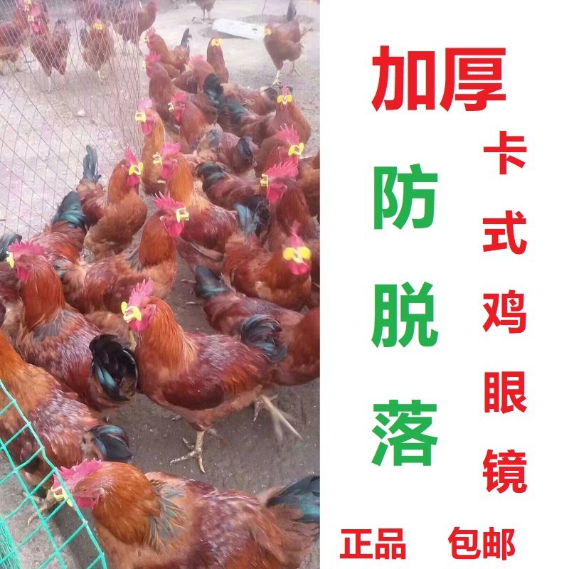 鸡眼罩镜 鸡戴防啄眼镜 无栓鸡眼镜山鸡防啄眼镜孔雀防啄眼罩卡式,淘宝优惠券,粉丝福利购,淘宝优惠卷