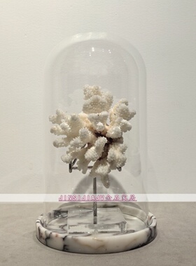 中古风珊瑚大理石玻璃罩桌面摆件