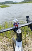 Pig Unraking the Wind Fat DiCarthattman FIRM ROAD MOUNTAIN BIKE DECORATION DOLL HEAD DECOR