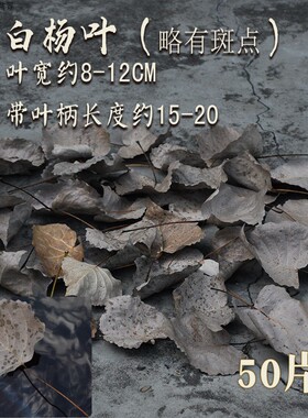 橱窗落叶广告拍摄婚礼天然标本