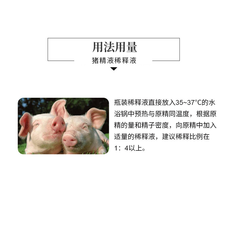 公猪精液稀释粉液抗菌抗病毒提高精子活力长效阻断病原降低返情 - 图0