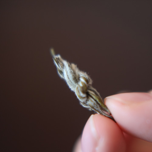 新茶【九窨麦穗】福建福州茉莉花茶 花在野 全手工冰糖甜 48g - 图0
