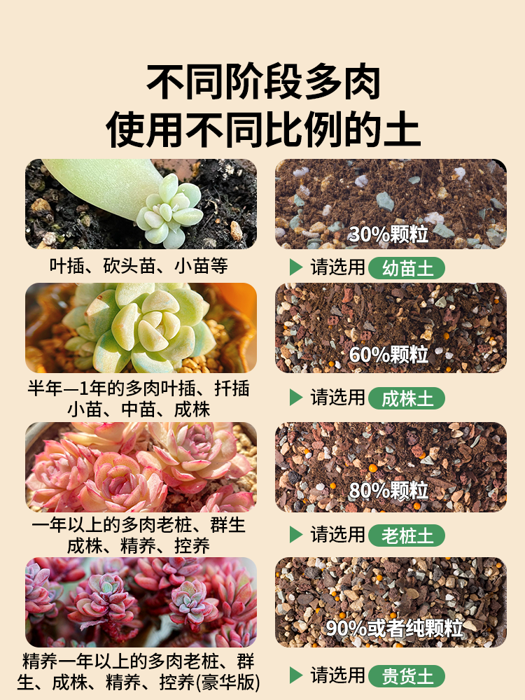 船长多肉专用营养颗粒土泥炭花土种植室内盆栽通用栽培土壤铺面石 - 图0