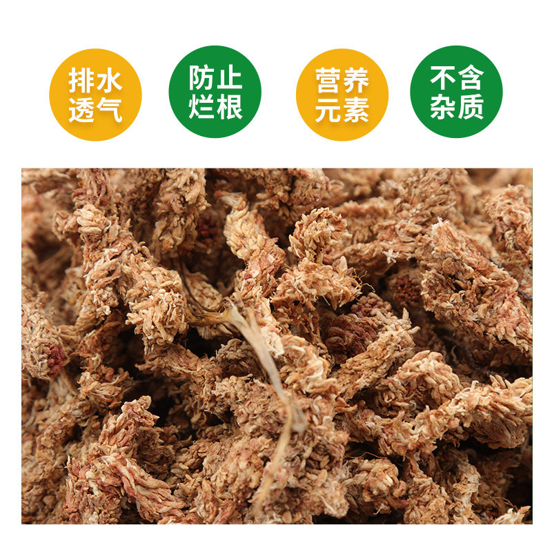 智利水苔干苔藓蝴蝶兰专用土兰花土保湿乌龟冬眠干水