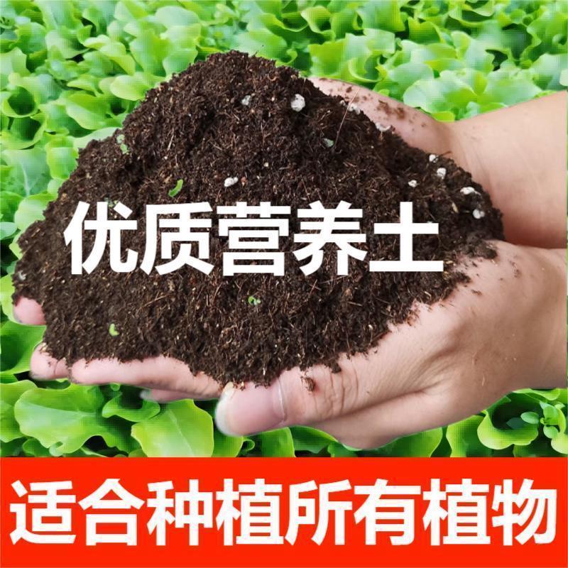 种花种菜土养花营养土通用型盆栽专用土瓜果土辣椒茄子西红柿泥士 - 图3