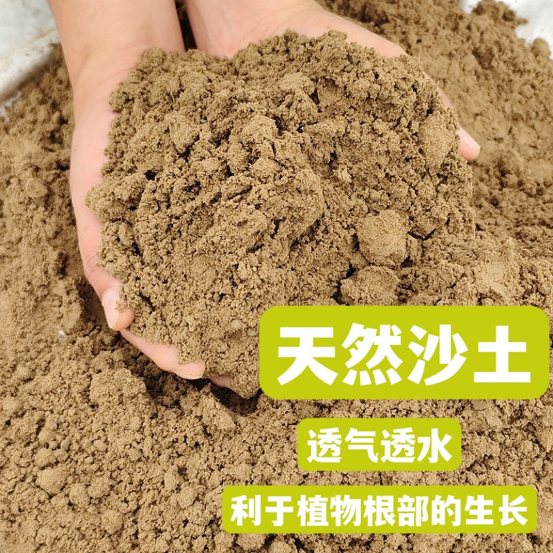 天然沙土沙壤土种菜种花盆栽绿植专用种植土细沙土壤通用田园土 - 图2