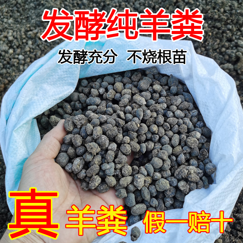 发酵好的羊粪蛋蛋颗粒有机肥料100斤发孝腐熟种菜种花纯干农家肥 - 图0