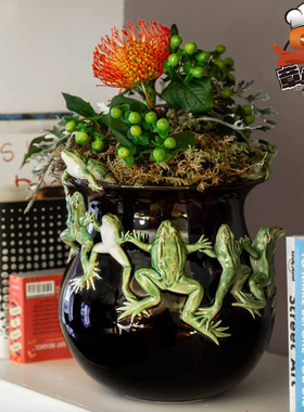 葡萄牙炻瓷青蛙造型摆件花瓶磁铁