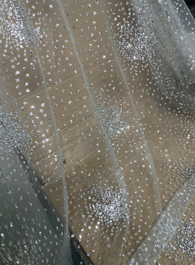 闪亮烫粉银色刺绣蕾丝布料
