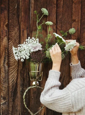 跨境新品Opal Wall Vessel挂钩花盆架一体金属创意壁挂家居装饰品