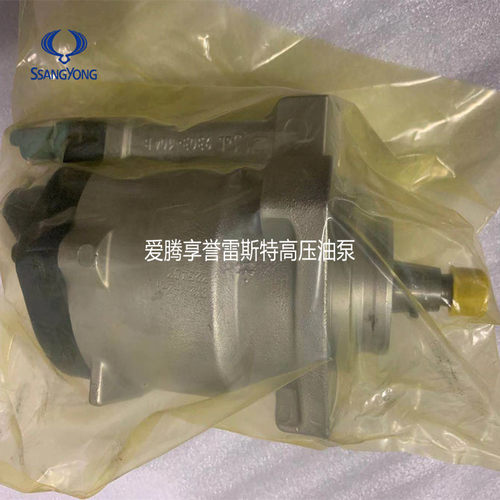 韩国双龙爱腾享誉雷斯特高压油泵品牌品质保证 - 图0