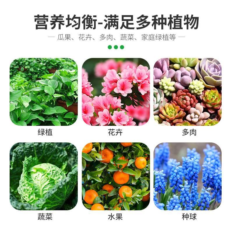 园艺骨粉花肥料促花养花脱脂高钙磷钾肥有机肥缓释肥盆栽绿植通用 - 图2