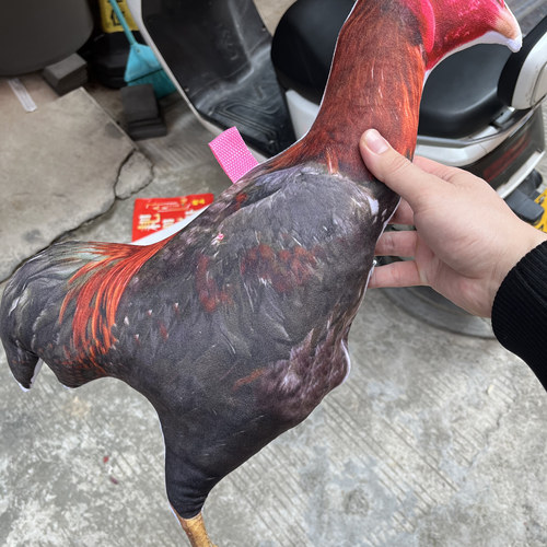 斗鸡用品 斗鸡训练用品 斗鸡模型 斗鸡比赛模型鸡斗鸡 假鸡 - 图2