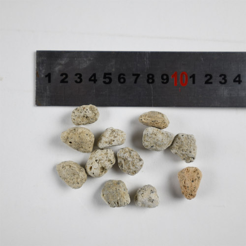 ADA生物轻石生物过滤桶用滤材硝化细菌培养高效清澈鱼缸水体 - 图3