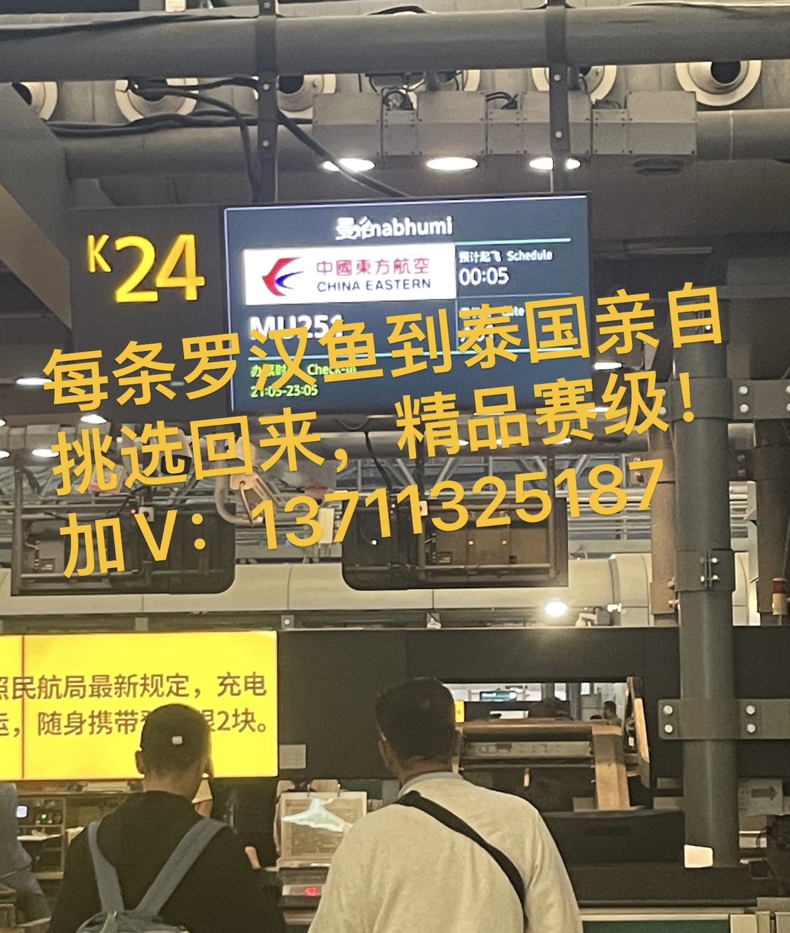 泰国爆头罗汉鱼鸿运火凤凰泰金花亚成起头大苗一物一拍活体观赏鱼 - 图3