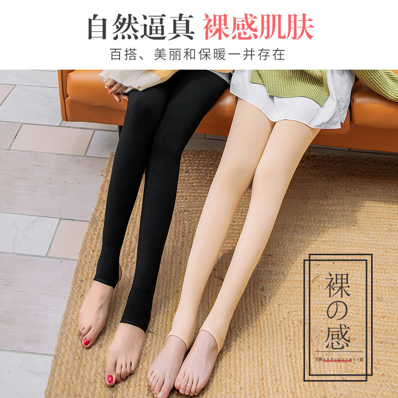 猫人外穿加绒加厚连体裸感保暖棉裤 猫人主流行短袜/打底袜/丝袜/美腿袜