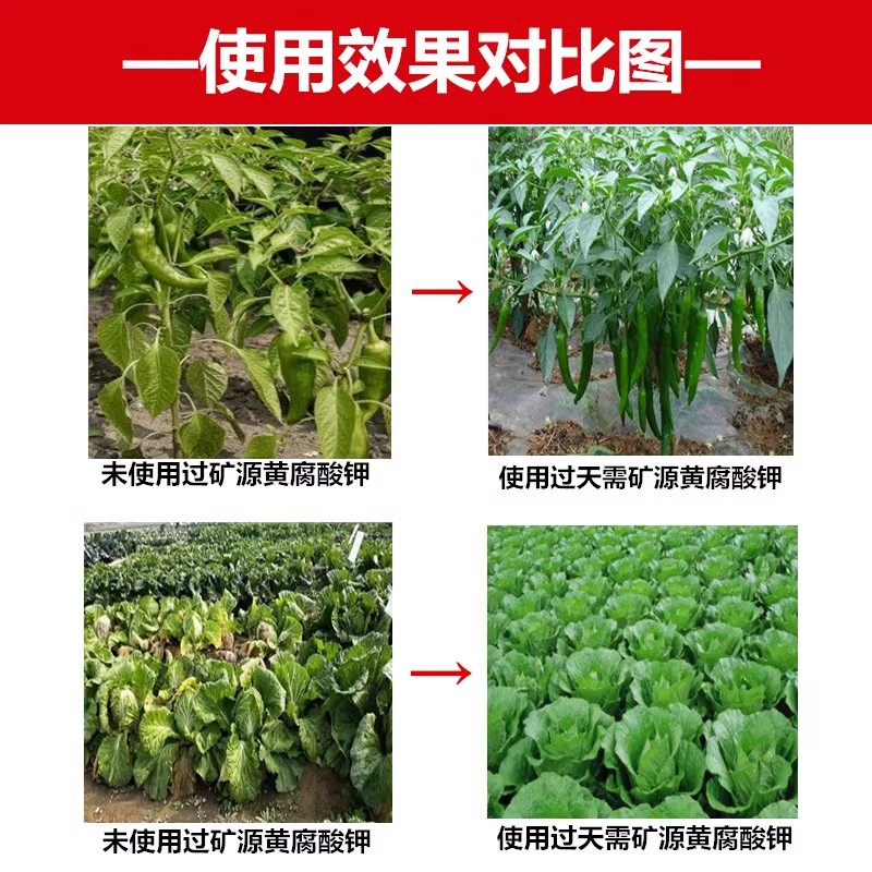 矿源黄腐酸钾农用黄腐殖酸原粉叶面肥保花保果抗重茬生根水溶肥料-图1