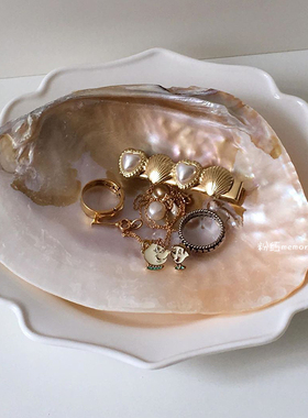 野生天然贝壳饰品摆拍ins风摆拍拍照道具小杂物收纳托盘摆件