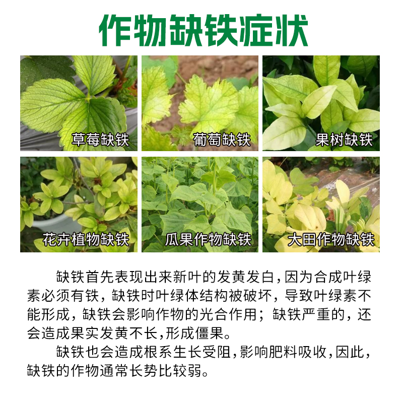 糖醇螯合铁肥微量元素水溶叶面肥植株黄叶缺铁农用花卉果树盆栽