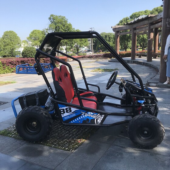 Family style kart park gasoline kart park