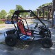 Family style kart park gasoline kart park
