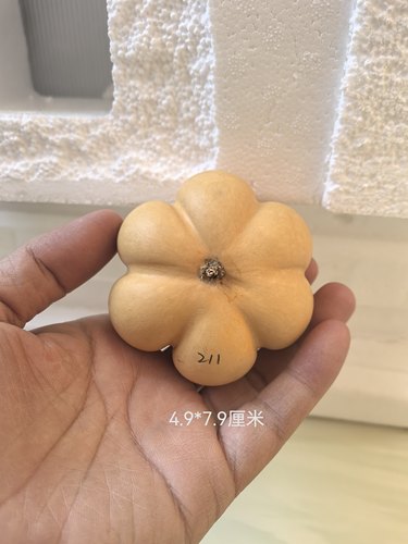 天然手把文玩勒扎莲花坐花墩葫芦工艺品一物一图皮质瓷实老成响籽 - 图0
