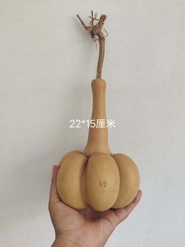 天然手把文玩勒扎莲花坐花墩葫芦工艺品一物一图皮质瓷实老成响籽 - 图2