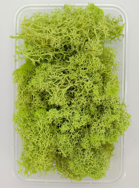 DIY干花绿色系永生花材料包手工