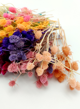 永生花天然小刺芹果手工材料干花
