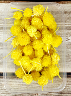 DIY黄色系永生花干花材大全盒装