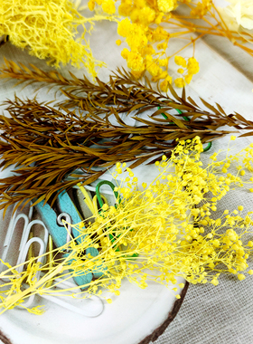 diy干花黄色系大全手工永生花材