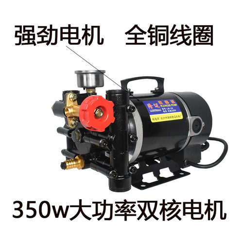 隆迈手提式打药机农用电动果树喷雾器12v60v24v220伏双缸柱塞泵 - 图1