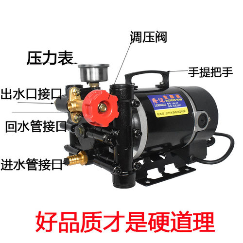 隆迈手提式打药机农用电动果树喷雾器12v60v24v220伏双缸柱塞泵 - 图0