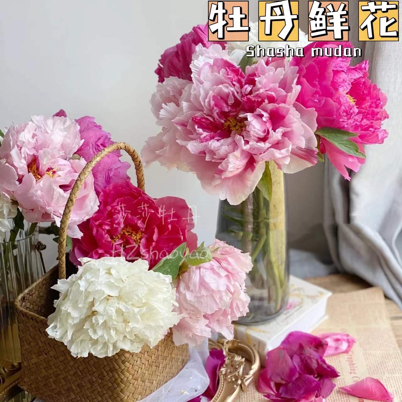 【现货】芍药鲜花重瓣菏泽春节花束鲜切花家庭插花山东基地 - 图0